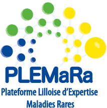 Logo de Plémara