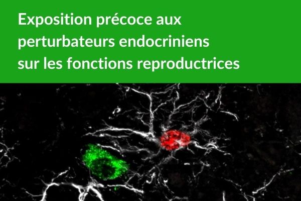 actualité-fertilité