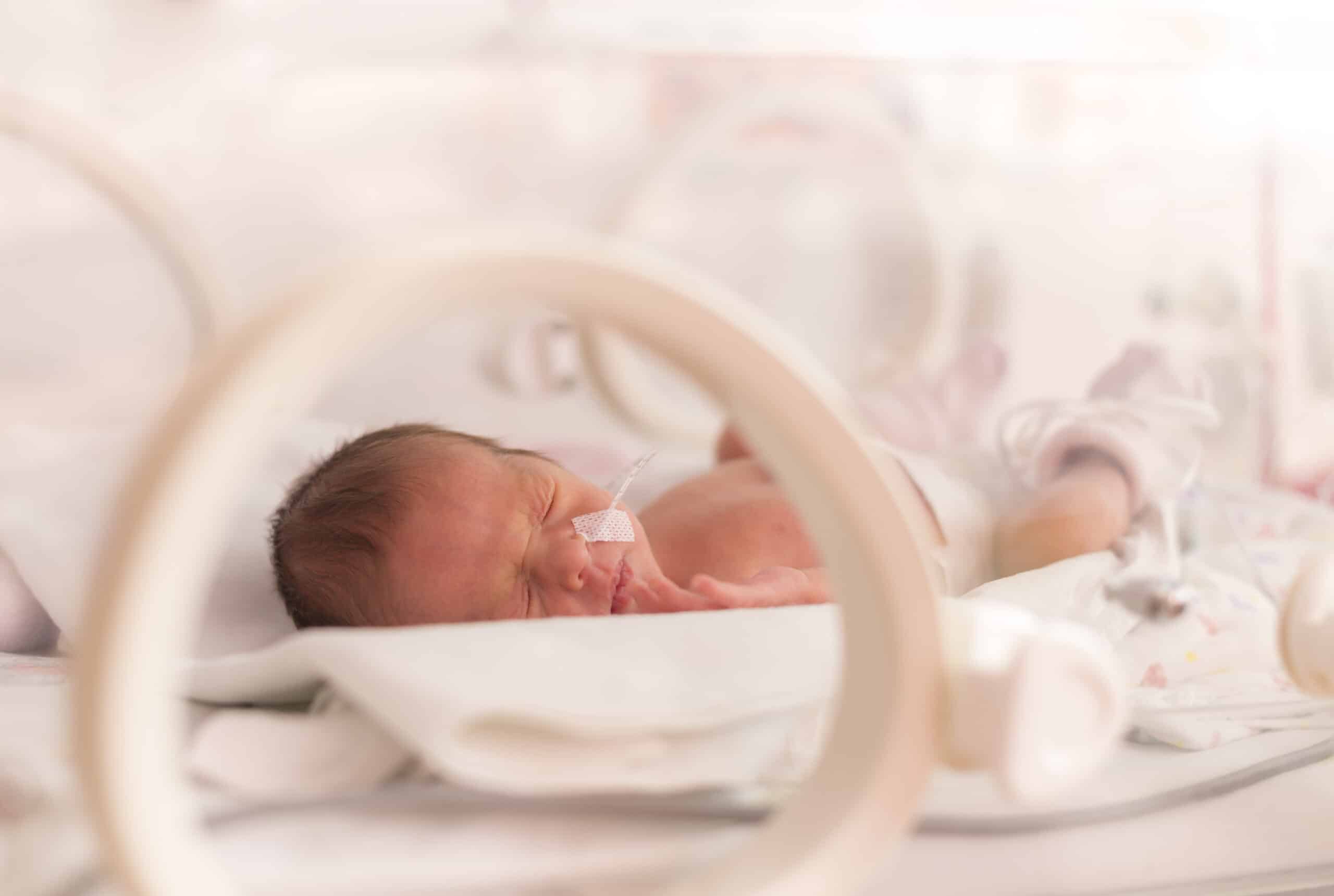 chu-lille-neonatologie